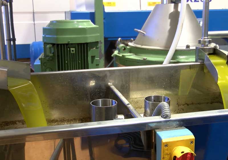 visit to Olive oil Mill with guide in Granada lecrin