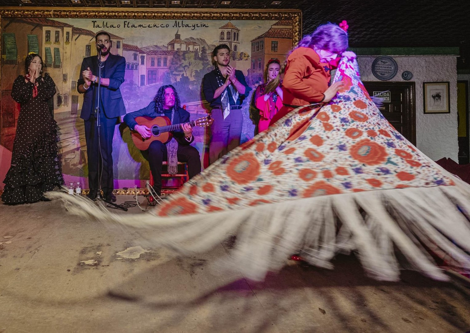 espectáculo flamenco en Granada