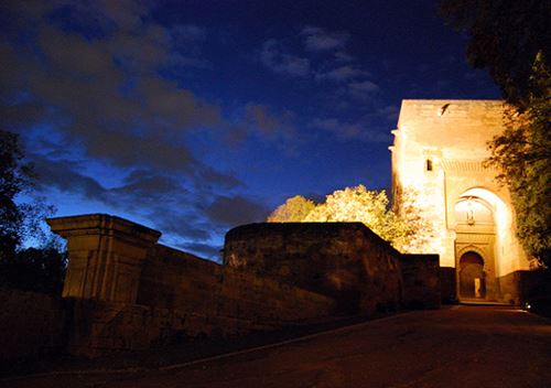 Visita nocturna Alhambra