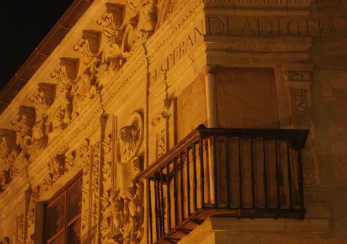 Visita guiada nocturna Granada